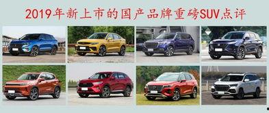 国产精品2019,匠心独运，品质卓越的年度盘点